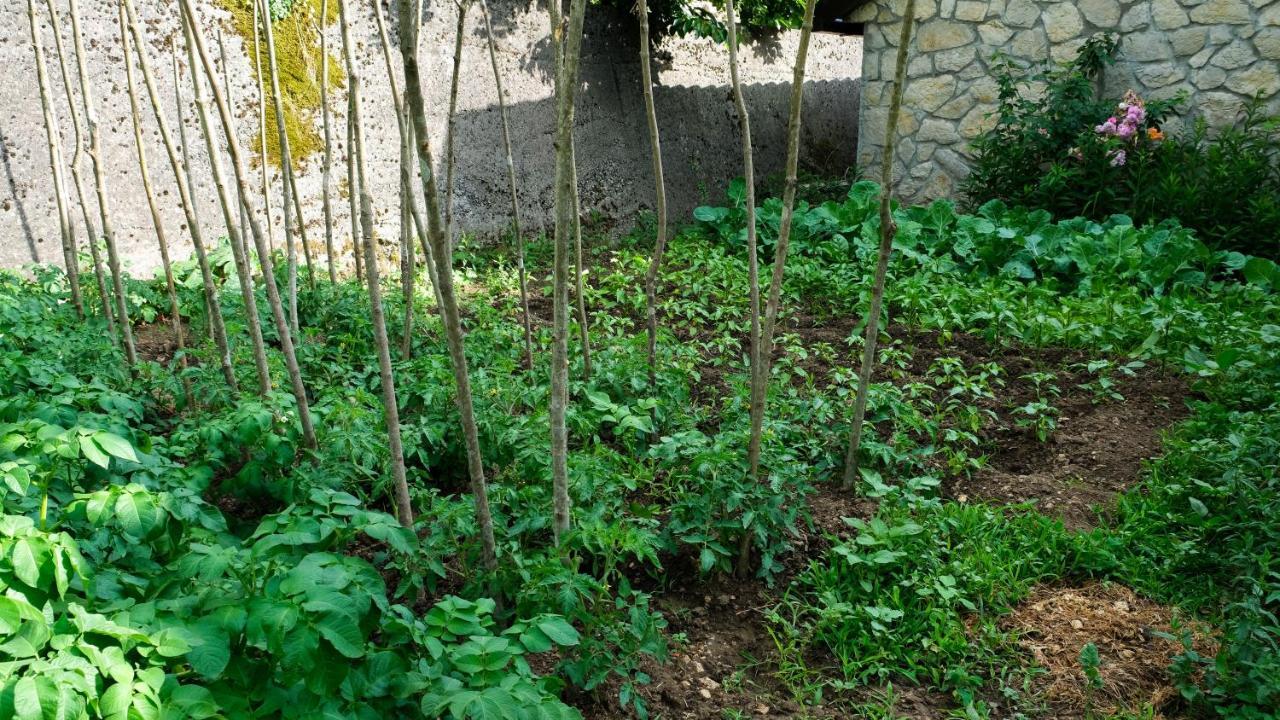 Prevalis Nature Cottage Virpazar Εξωτερικό φωτογραφία