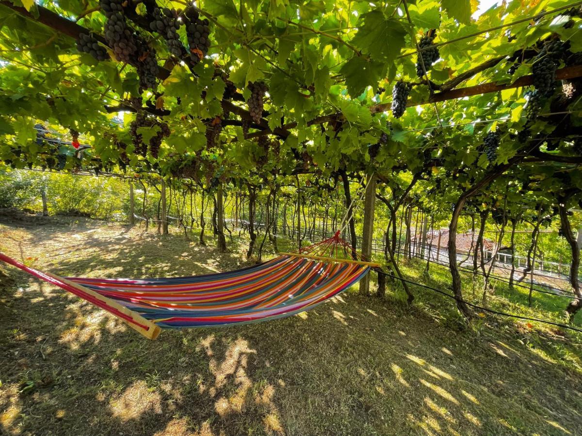 Prevalis Nature Cottage Virpazar Εξωτερικό φωτογραφία
