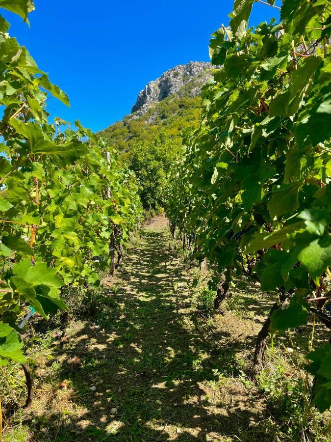 Prevalis Nature Cottage Virpazar Εξωτερικό φωτογραφία