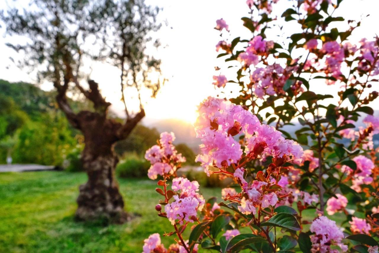 Prevalis Nature Cottage Virpazar Εξωτερικό φωτογραφία