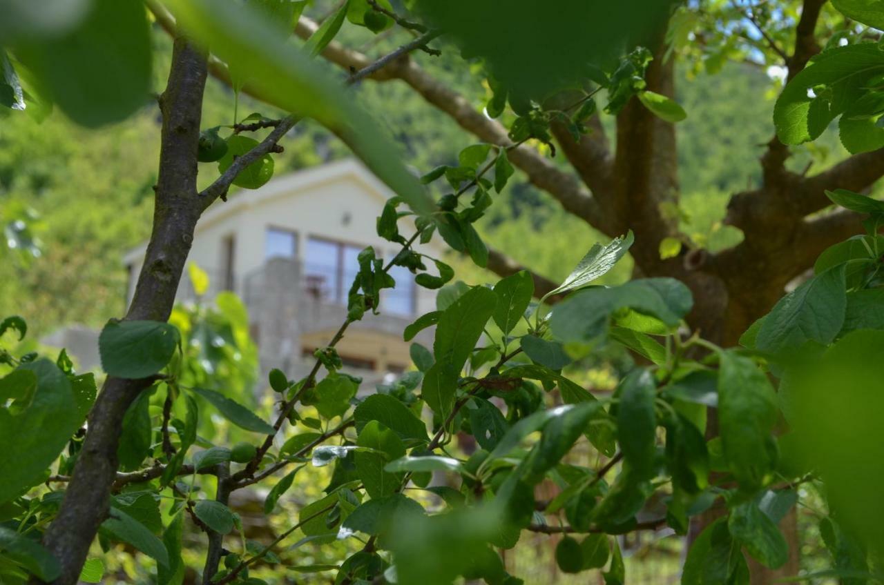 Prevalis Nature Cottage Virpazar Εξωτερικό φωτογραφία